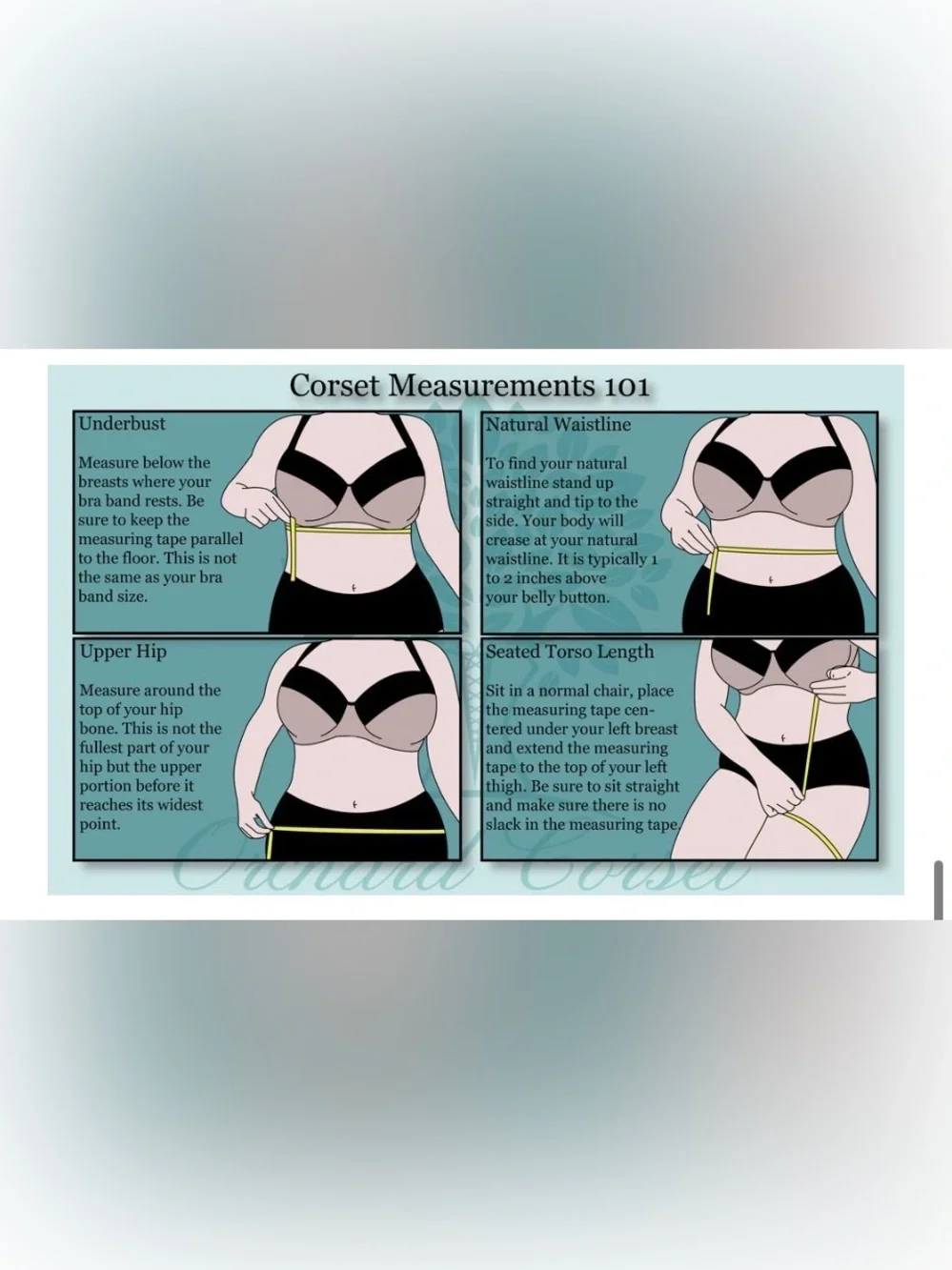 Orchard Corset CS-345 Womens Mesh Underbust Orginal Steel boned Waist Training